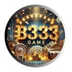 B333 game